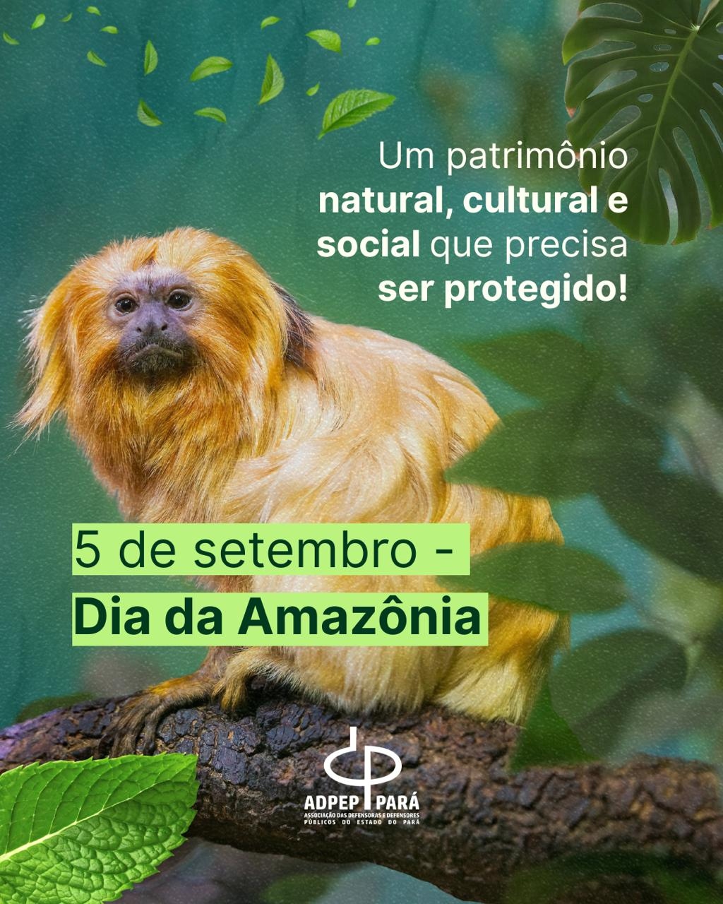 5 de setembro – Dia da Amazônia